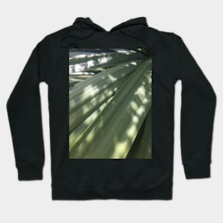 Tī Kōuka Leaves Hoodie